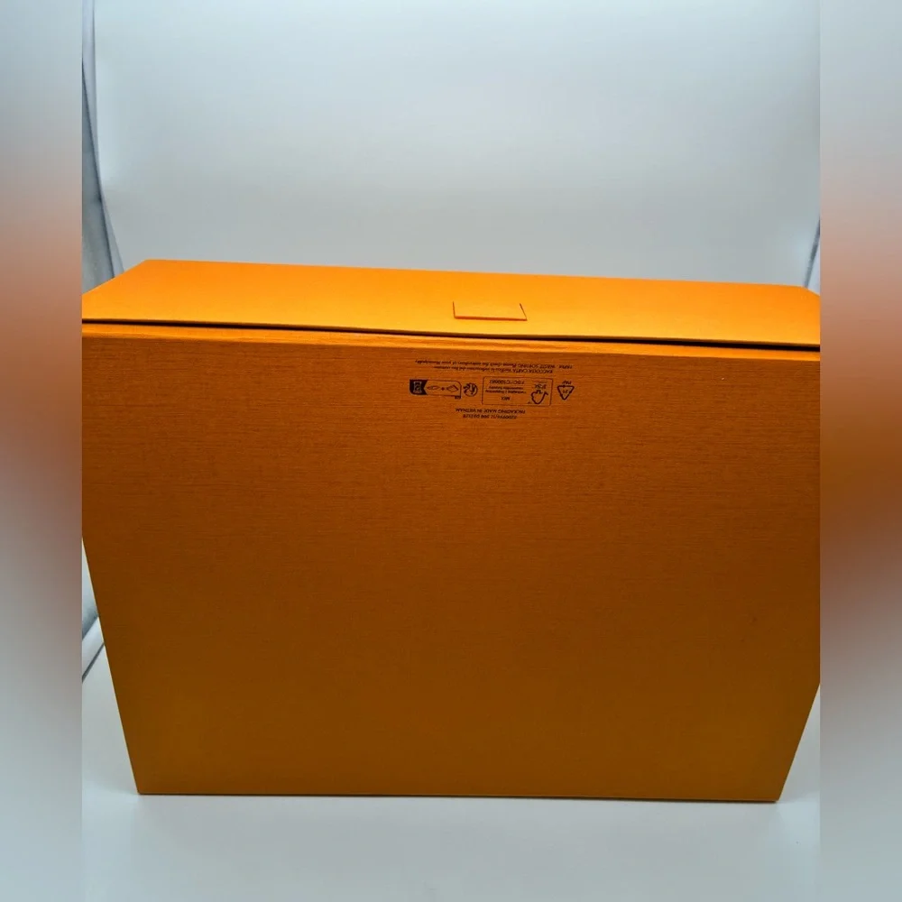 New Louis Vuitton large box
